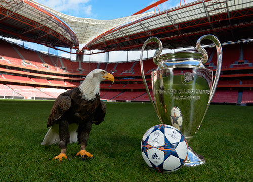 你以为水火不容的耐克和阿迪，有钱也得一起挣（看似死对头的耐克与阿迪，为了赚钱照样联手）